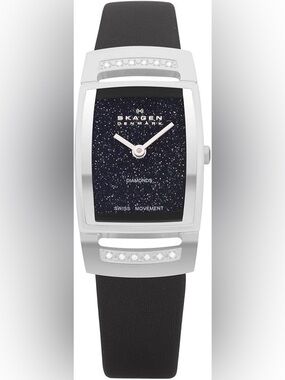 Skagen Black Dial Silver-Tone Diamond Accent Watch